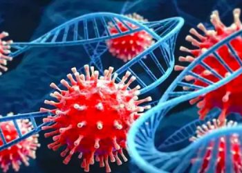 മുംബൈയിൽ സ്ഥിരീകരിച്ചത് എക്സ് ഇ വകഭേദമല്ലെന്ന് സ്ഥിരീകരണം