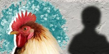 മനുഷ്യനിൽ ആദ്യമായി എച്ച്3എൻ8 പക്ഷിപ്പനി സ്ഥിരീകരിച്ചു ; വൈറസ് ബാധ കണ്ടെത്തിയത് 4 വയസുകാരനിൽ