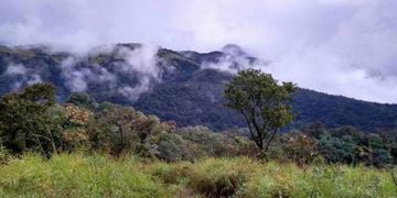 നെയ്യാര്‍, പേപ്പാറ വന്യജീവി സങ്കേതത്തിന്റെ ചുറ്റുമുള്ള പ്രദേശം പരിസ്ഥിതിലോല മേഖലയാക്കാന്നു ; കരട് വിജ്ഞാപനത്തിനെതിരെ പ്രതിഷേധം