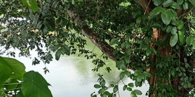 കോട്ടയത്ത് മീനച്ചിലാറ്റില്‍ കുളിക്കാനിറങ്ങിയ രണ്ട് കുട്ടികള്‍ മുങ്ങിമരിച്ചു