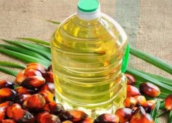 ഇന്തോനേഷ്യ പാമോയിൽ കയറ്റുമതി വിലക്കി ; ഇന്ത്യക്ക് കനത്ത തിരിച്ചടി