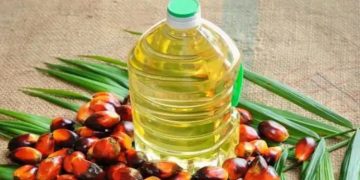 ഇന്തോനേഷ്യ പാമോയിൽ കയറ്റുമതി വിലക്കി ; ഇന്ത്യക്ക് കനത്ത തിരിച്ചടി