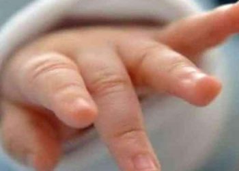 കാട്ടാന വഴി തടഞ്ഞു ; 24കാരി ആംബുലൻസിൽ കുഞ്ഞിന് ജന്മം നൽകി