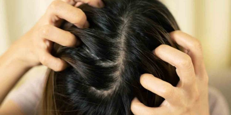 മറ്റ് അവയവങ്ങളെ ബാധിക്കാവുന്ന തരത്തിൽ അണുബാധ ; പേൻശല്യം ചികിത്സിക്കേണ്ടത് അത്യാവശ്യം