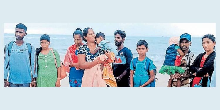 കൈക്കുഞ്ഞടക്കം 19 ശ്രീലങ്കൻ അഭയാർഥികൾ തമിഴ്നാട്ടിൽ