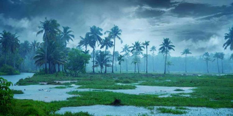 ഓറഞ്ച് അലർട്ട് പിൻവലിച്ചു; ജില്ലകളിൽ യെല്ലോ അലർട്ട് മാത്രം