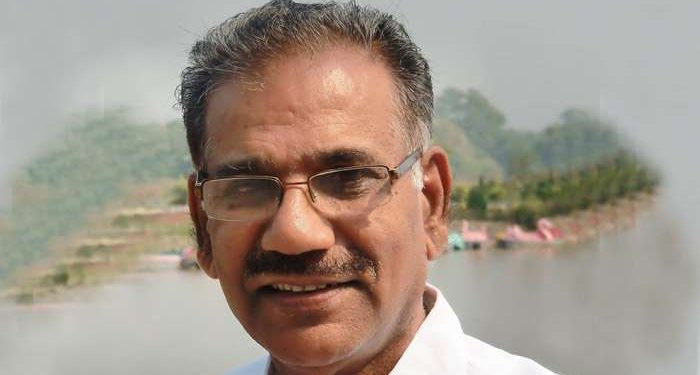 കാട്ടുപന്നികളെ വെടിവയ്ക്കാൻ തദ്ദേശ സ്ഥാപനങ്ങൾക്ക് അനുമതി: മന്ത്രി എ കെ ശശീന്ദ്രൻ