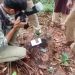 കോഴിക്കോട് തൊണ്ടയാട് ആളൊഴിഞ്ഞ പറമ്പിൽനിന്ന് വെടിയുണ്ട കണ്ടെത്തി