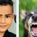 നായയുടെ നഖം കൊണ്ട് പോറി, കുത്തിവെപ്പെടുത്തില്ല ; 9 വയസ്സുകാരൻ മരിച്ചു, മുത്തച്ഛനും മുത്തശ്ശിയും ആശുപത്രിയിൽ