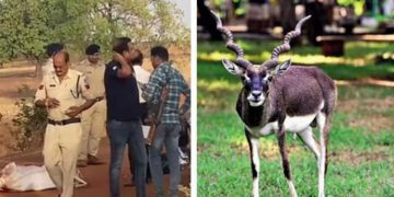 കൃഷ്ണമൃ​ഗ വേട്ടക്കാരുടെ വെടിയേറ്റ് മൂന്ന് പോലീസുകാർ കൊല്ലപ്പെട്ടു ; സംഭവം മധ്യപ്രദേശിൽ