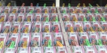 സ്ത്രീശക്തി SS-313 ലോട്ടറി നറുക്കെടുപ്പ് ഇന്ന്