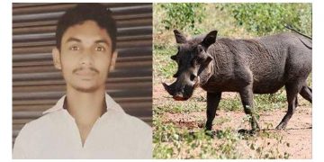 മലപ്പുറത്ത് പന്നി വേട്ടയ്ക്കിടെ യുവാവ് വെടിയേറ്റു മരിച്ചു