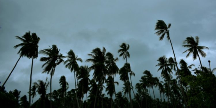 കേരളത്തിൽ ഇത്തവണ കാലവർഷം കുറയും; ജൂണിലും ലഭിക്കുക കുറവു മഴ