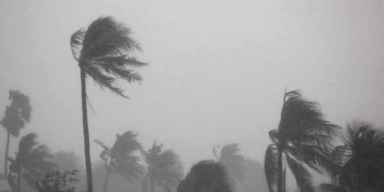 5 ജില്ലകളിൽ ഒറ്റപ്പെട്ടയിടങ്ങളിൽ മിതമായ മഴയ്ക്കു സാധ്യത