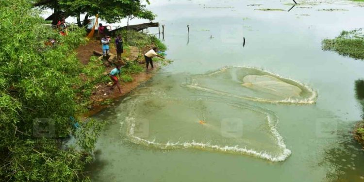 കേരളത്തിൽ മഴ കനക്കും ; ജില്ലകളിൽ യെലോ അലർട്ട് പ്രഖ്യാപിച്ചു