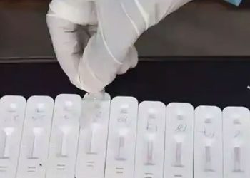 ജനിതകമാറ്റം സംഭവിച്ച കോവിഡ് വകഭേദം എക്സ്.ഇ ഇന്ത്യയിൽ സ്ഥിരീകരിച്ചു