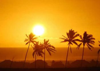 കൊടുംചൂടിൽ ചുട്ടുപൊള്ളി മഹാരാഷ്ട്ര: സൂര്യാഘാതമേറ്റ് ഇതുവരെ മരിച്ചത് 25 പേ‍ര്‍