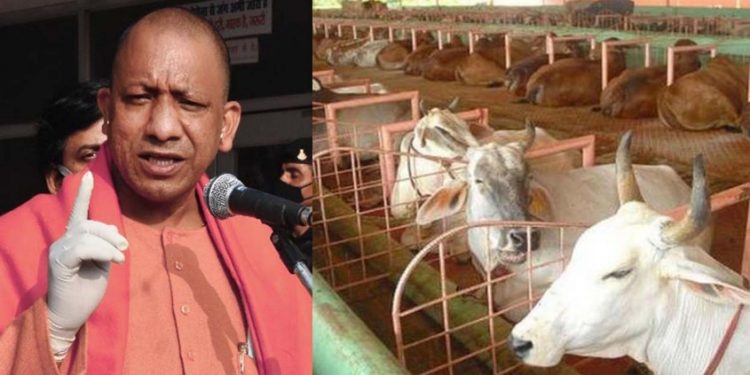 യോഗിക്കെതിരെ പോസ്റ്റിട്ടു ; കൗമാരക്കാരന് 15 ദിവസം ഗോശാല വൃത്തിയാക്കൽ ശിക്ഷ