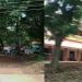 വടക്കാഞ്ചേരിയിൽ സ്കൂൾ വിദ്യാർത്ഥിക്ക് പാമ്പ് കടിയേറ്റു ; കുട്ടി മെഡിക്കൽ കോളേജിൽ