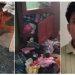വലിയ ഷൂസിന്റെ അടയാളം പതിപ്പിച്ചു, മുളക് പൊടി വിതറി ; സ്വന്തം വീട്ടില് യുവാവിന്റെ പ്രൊഫഷണല് കവര്ച്ച