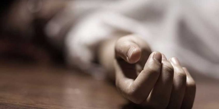 ഇരുമ്പുതോട്ടി കൊണ്ട് മാങ്ങ പറിക്കുന്നതിനിടെ ഷോക്കേറ്റു ; വർക്ഷോപ്പ് ഉടമ മരിച്ചു