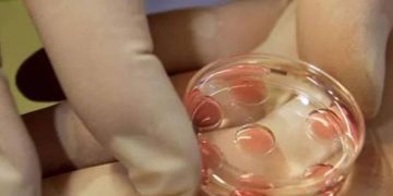 16 കാരിയുടെ അണ്ഡം വിറ്റു ; അമ്മയും രണ്ടാനച്ഛനും ഇടനിലക്കാരിയും അറസ്റ്റിൽ