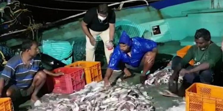 ബോട്ടിൽനിന്ന് ലേലത്തിനായി ഇറക്കിയത് പഴകിയ മീൻ ; 500 കിലോ നശിപ്പിച്ചു