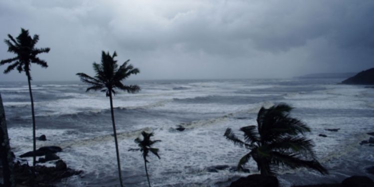എല്ലാ ജില്ലകളിലും മിതമായ മഴയ്ക്ക് സാധ്യത ; ഒറ്റപ്പെട്ടയിടങ്ങളിൽ മിന്നൽ