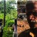 പാലക്കാട് ഭര്‍ത്താവിനെ വിറക് കൊള്ളികൊണ്ട് തലയ്ക്കടിച്ച് കൊന്നു ; ഭാര്യ കസ്റ്റഡിയില്‍