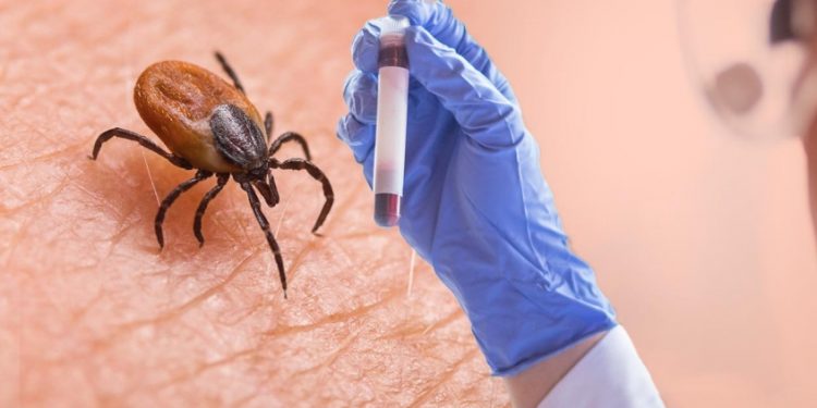 തിരുവനന്തപുരത്ത് വീണ്ടും ചെള്ളുപനി മരണം ; പരശുവയ്ക്കൽ സ്വദേശിനി മരിച്ചു