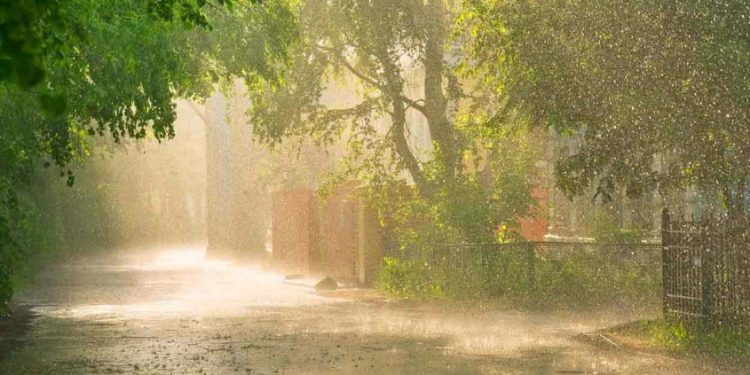 ന്യൂനമർദം : കേരളത്തിൽ മഴ ശക്തിയോടെ തുടരും; നാല് ജില്ലകളിൽ ഇന്ന് ഓറഞ്ച് അലർട്ട്