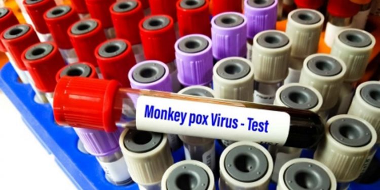 മങ്കിപോക്സ്: ഉന്നത ഉദ്യോഗസ്ഥരുടെ അടിയന്തരയോഗം വിളിച്ച് കേന്ദ്രം