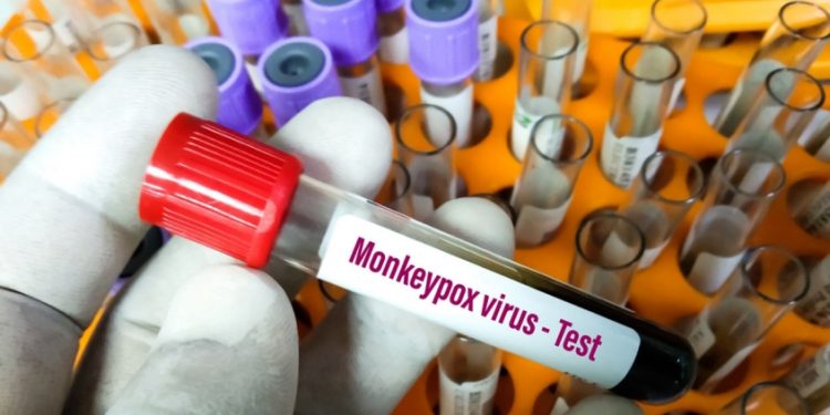 മങ്കിപോക്സിനെതിരെ വാക്സീൻ നിർമിക്കാൻ കേന്ദ്രം; മരുന്നുകമ്പനികളുമായി ചർച്ച തുടങ്ങി