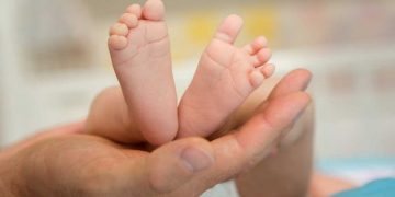 ഉടുമ്പൻചോലയിൽ ഇരട്ടക്കുട്ടികളെ കൊന്ന് കുഴിച്ചിട്ടു; യുവതി കസ്റ്റഡിയിൽ