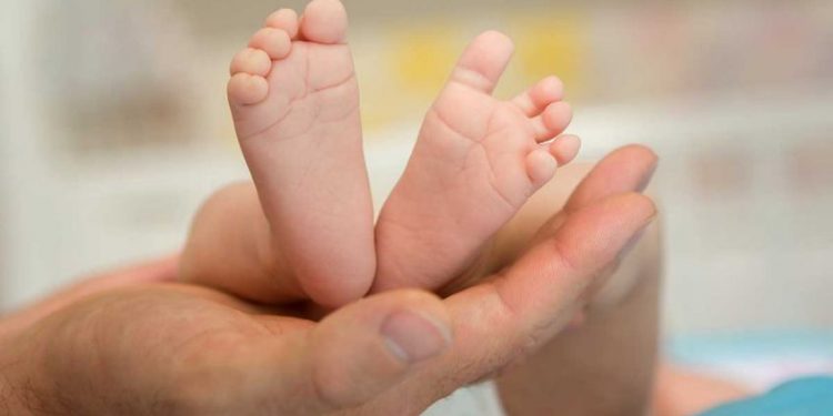 ഉടുമ്പൻചോലയിൽ ഇരട്ടക്കുട്ടികളെ കൊന്ന് കുഴിച്ചിട്ടു; യുവതി കസ്റ്റഡിയിൽ