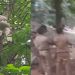 പൂജപ്പരയിൽ ജയിൽ ചാടി മരത്തിൽ കയറിയ പ്രതിയെ ‘ വീഴ്ത്തി ’ ; വലയിൽ കുരുങ്ങി