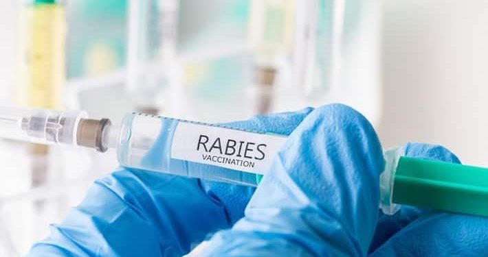 വളര്ത്തുനായകള്ക്ക് വാക്സിനേഷന് നിര്ബന്ധം, പേവിഷബാധ മരണം ഒഴിവാക്കാന് പ്രത്യേക കര്മ്മപദ്ധതി