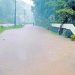 കോട്ടയത്ത് പടിഞ്ഞാറൻ മേഖലയിൽ വെള്ളക്കെട്ട് രൂക്ഷം; വൈക്കത്ത് നിരവധി വീടുകളിൽ വെള്ളം കയറി