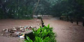 സംസ്ഥാനത്ത് ശക്തമായ മഴ തുടരുന്നു ; കോട്ടയത്തും പത്തനംതിട്ടയിലുമായി നാല് മരണം