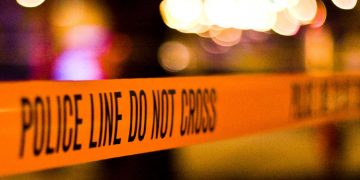 ഫോണിൽ പാട്ട് ഉറക്കെ വെച്ചതിനെ ചൊല്ലി തര്‍ക്കം ; പാലക്കാട് അനിയന്‍ ചേട്ടനെ വിറക് കൊണ്ട് അടിച്ച് കൊന്നു