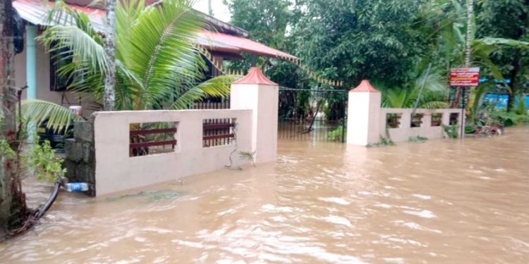 വ്യാപക മഴയ്ക്ക് സാധ്യത; കാസര്‍കോട് ഒഴികെ 13 ജില്ലകളിലും യെലോ അലര്‍ട്ട്