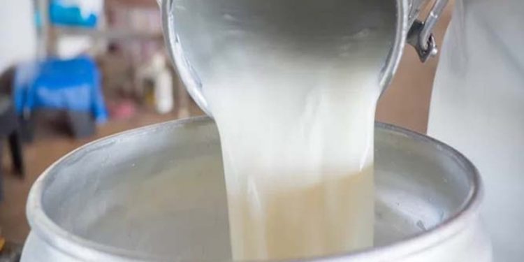 യൂറിയ കലര്‍ന്ന 12,700 ലീറ്റര്‍ പാല്‍ പിടികൂടി; തമിഴ്നാട്ടിലേക്ക് തിരിച്ചയച്ചു