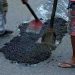 റോഡിലെ കുഴിയിൽ വീണ് കായംകുളം എസ്.ഐക്ക് പരിക്കേറ്റു