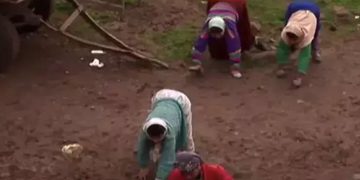 നാലു കാലിൽ നടക്കുന്ന കുടുംബം; ഉത്തരംമുട്ടി ശാസ്ത്രജ്ഞരും ഡോക്ടർമാരും