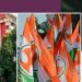 എകെജി സെന്ററിനെതിരെ പടക്കമേറ് ; ഭാരത് ജോഡോ യാത്ര തിരുവനന്തപുരത്ത്, ‘ദാ കെടക്കുന്നു പ്രതി: ടി സിദ്ദിഖ്