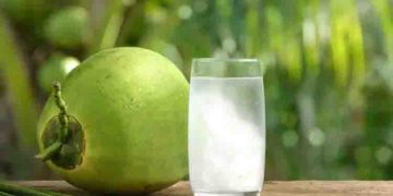 ഉണര്‍വിനും ഊര്‍ജത്തിനും ഇളനീര്‍; അറിയാം ഈ അത്ഭുത ഗുണങ്ങള്‍