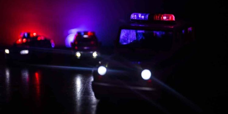 തമിഴ്നാട്ടിൽ ബിജെപി നേതാക്കളുടെ വീട്ടിലേക്ക് ബോംബേറ്: 15 പേർ പിടിയിൽ