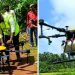 കാസര്കോട് കൃഷിയിടങ്ങളില് മരുന്ന് തളിക്കാന് ഡ്രോൺ, പദ്ധതി കൃഷിവകുപ്പ് വക