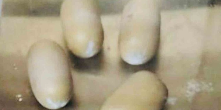 നെടുമ്പാശേരിയിൽ യാത്രക്കാരനിൽനിന്ന് 42 ലക്ഷത്തിന്റെ സ്വർണം പിടികൂടി