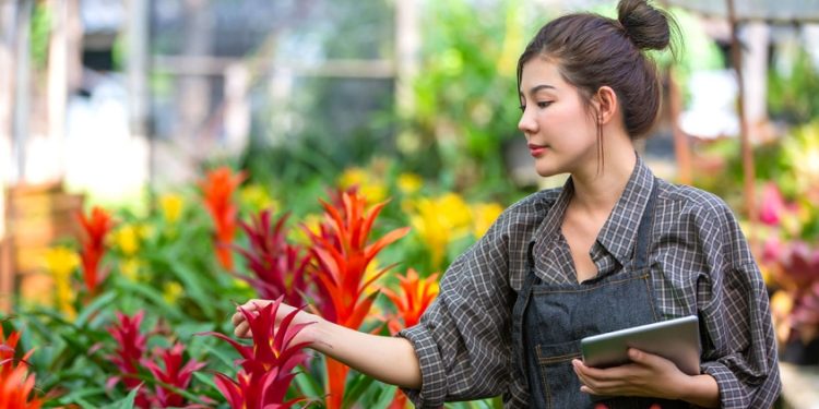 പ്ലാന്റ് ഹെൽത്ത് മാനേജ്മെന്റ് പ്രോഗ്രാം അപേക്ഷ 30 വരെ